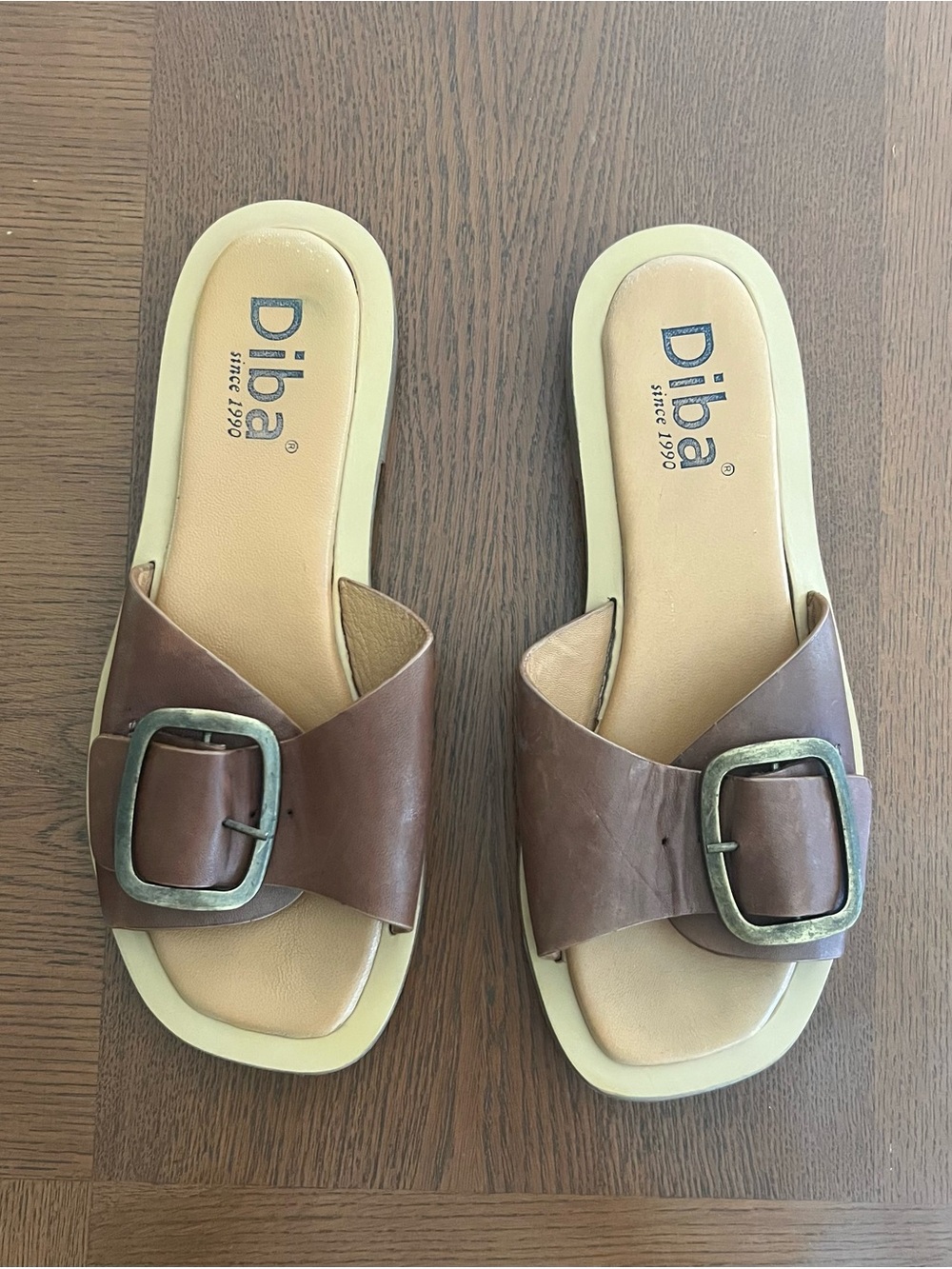 Diba Brown Leather Slide Mules with Buckle Accents